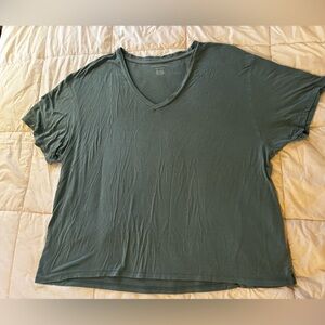 American Eagle Outfitters Soft & Sexy Green V-Neck Tee